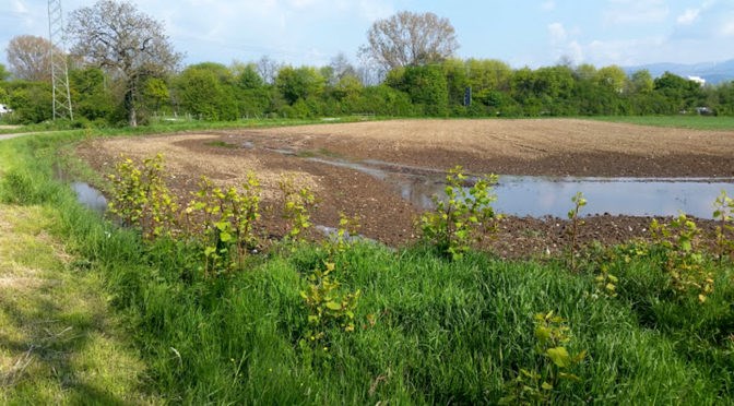 Überschwemmungsgebiet Dietenbach