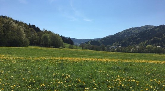 Stadt informierte zur geplanten Bebauung der „Weihermatten“ in Freiburg-Kappel