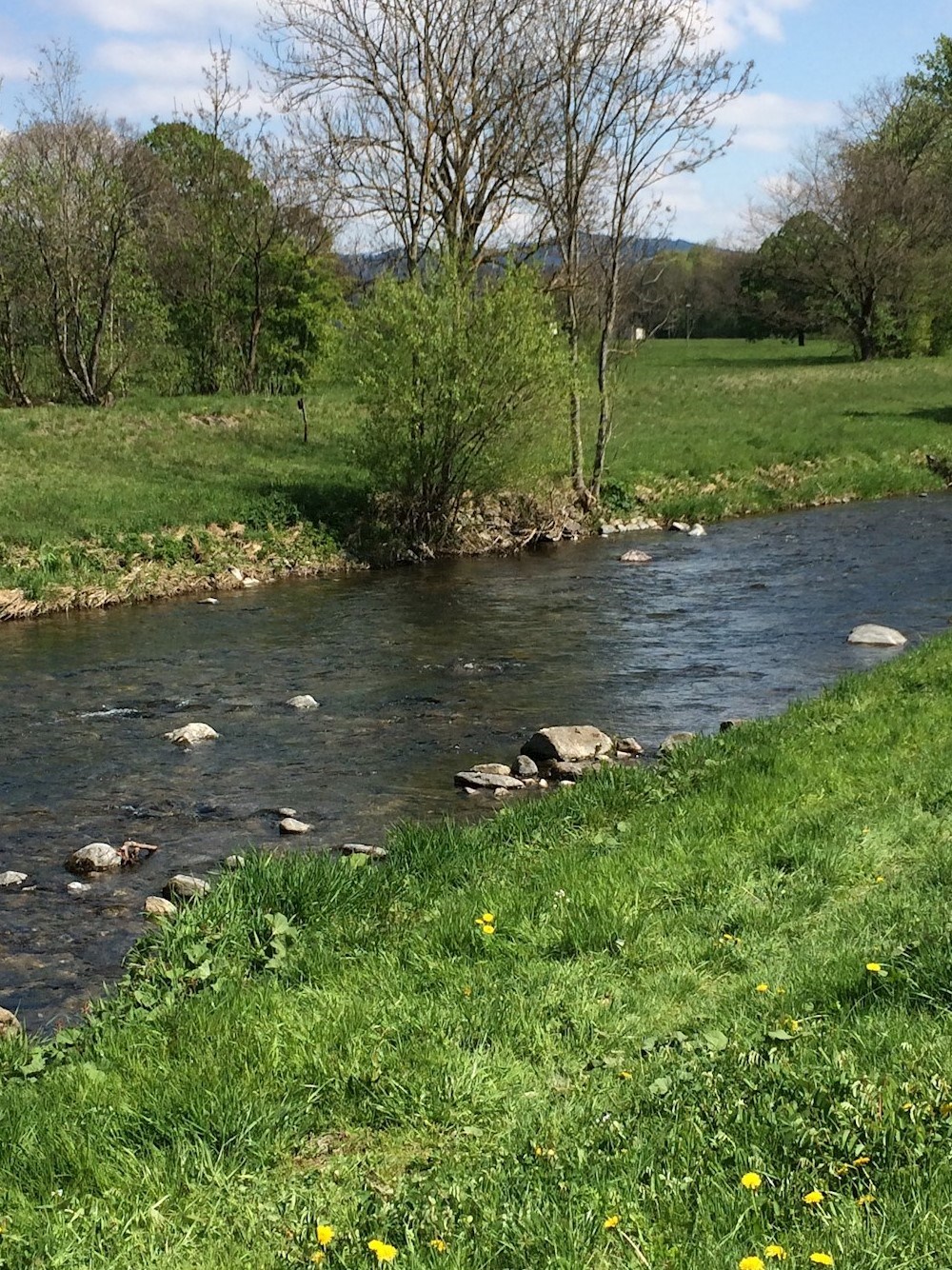 Dreisam oberhalb des Gedenksteins 