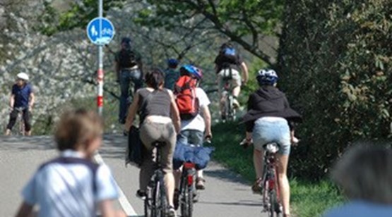 Fuß- und Radentscheid: Bestimmung der kommunalen Verkehrspolitik durch Bürgerentscheide