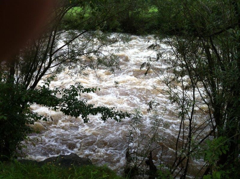 Hochwasser Dreisam