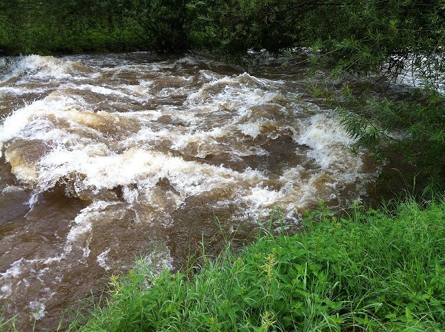 Hochwasser an der Dreisam 